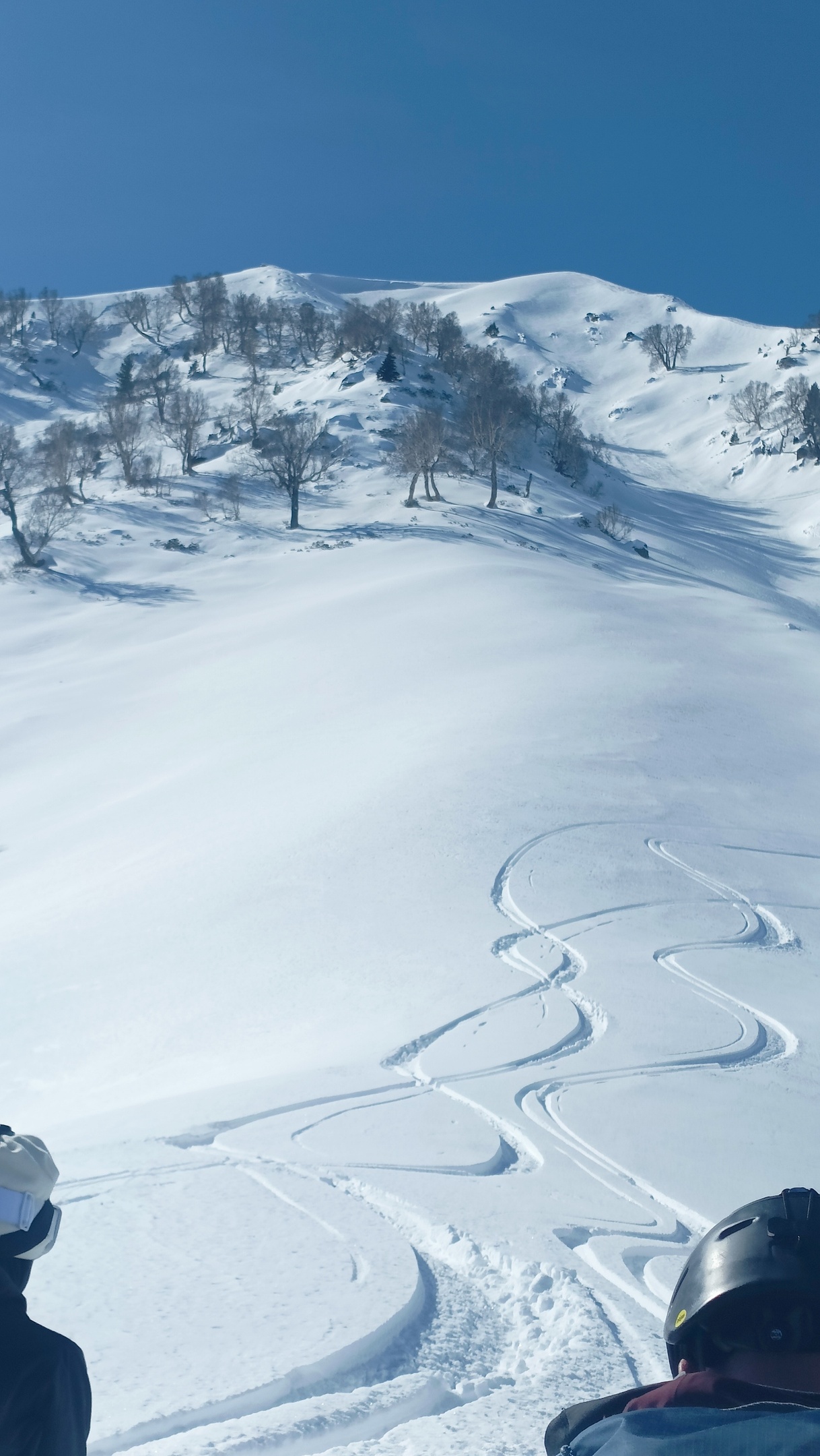 Wildsnow Team